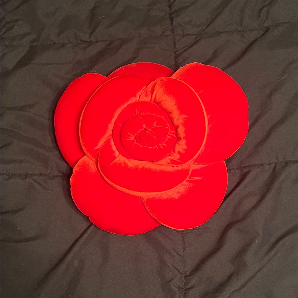 Target Red Floral Pillow